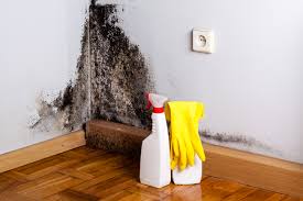 Best Industrial Mold Remediation  in Glen Carbon, IL